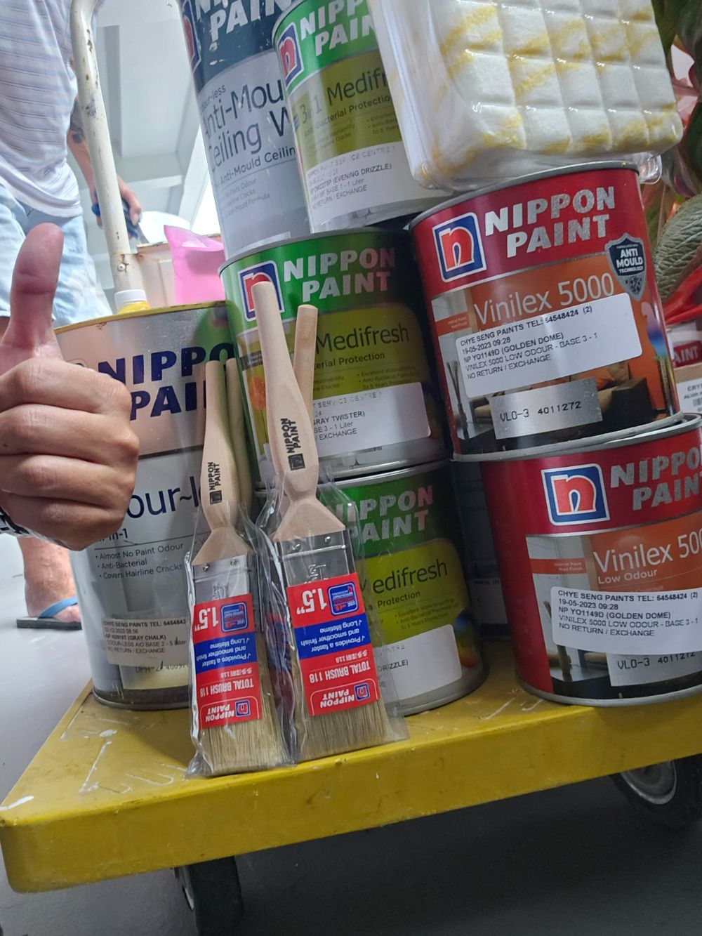 How to Clean Walls and Remove Stains and Mould: Before and After Painting –  Nippon Paint Singapore